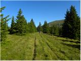 Koglereck - Großer Speikkogel (Golica / Koralpe)